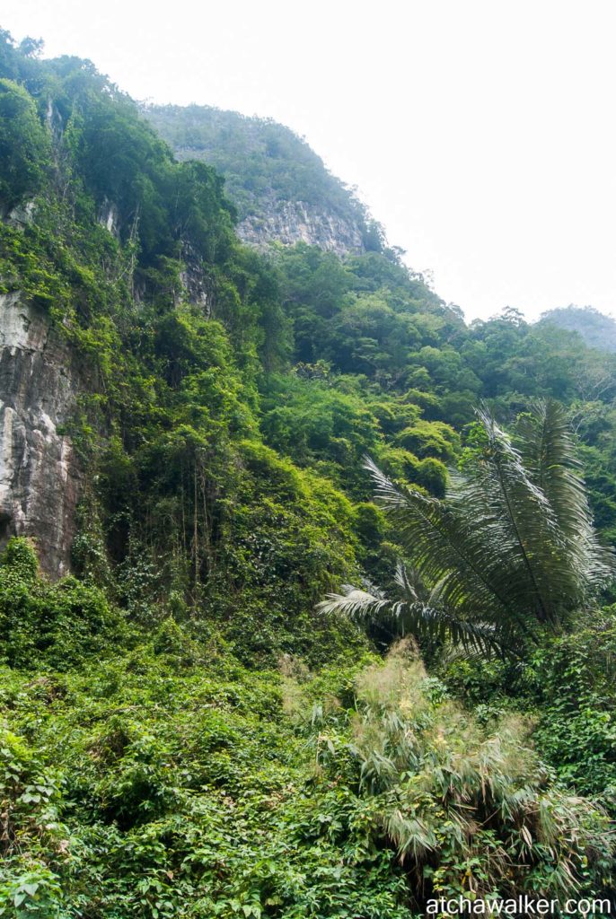 National Park de Phong Nha