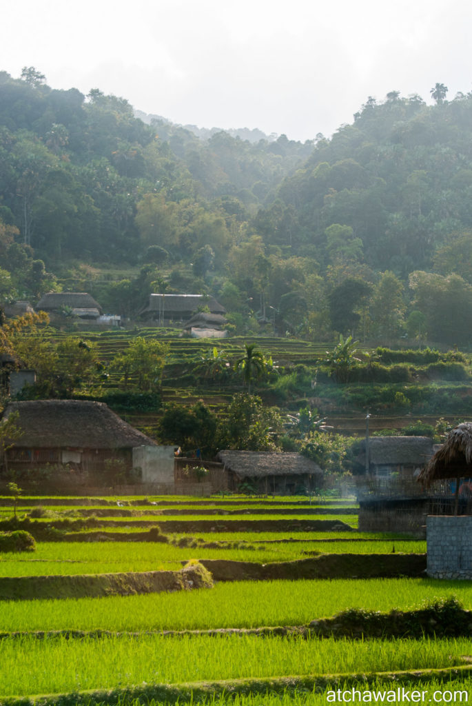 Village Tay - Ha Giang