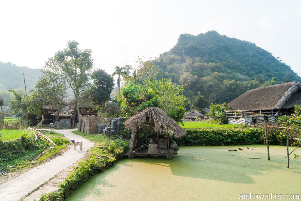 Village Tay - Ha Giang